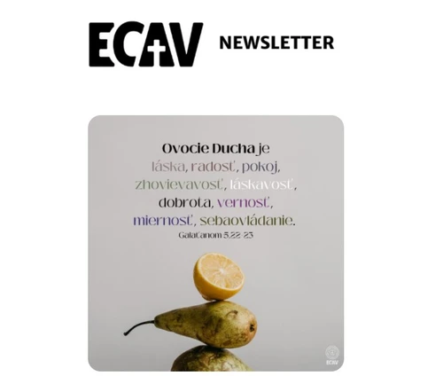 Letný newsletter