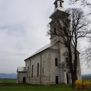 Sľub presbyterov v Príbovciach