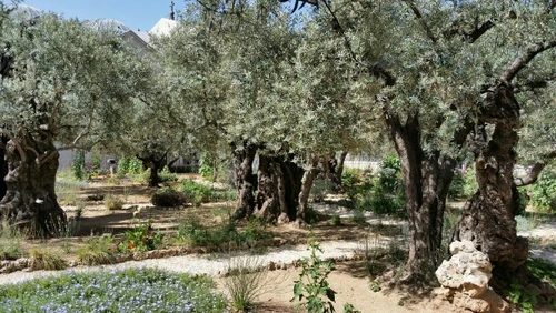 AJ MY POTREBUJEME GETSEMANE