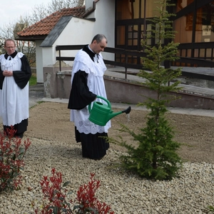 Inštalácia v Lučenci a strom reformácie