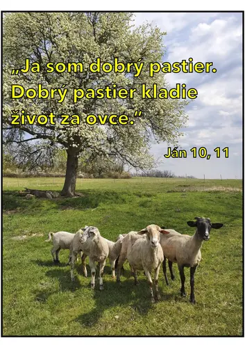 Sužby Božie na 2. nedeľu po Veľkej noci od farárov z Novohradského seniorátu