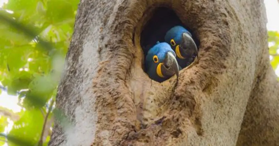 NTM 2022: Obdobia manželstva