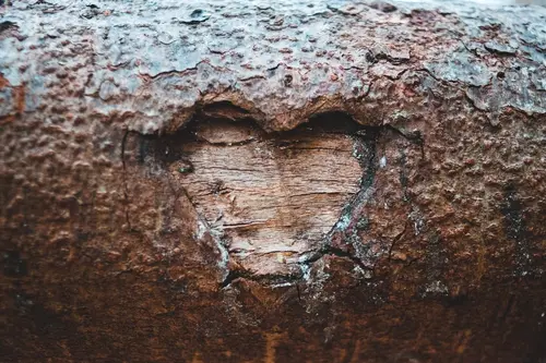 TO NAJKRAJŠIE IBA PRÍDE! 