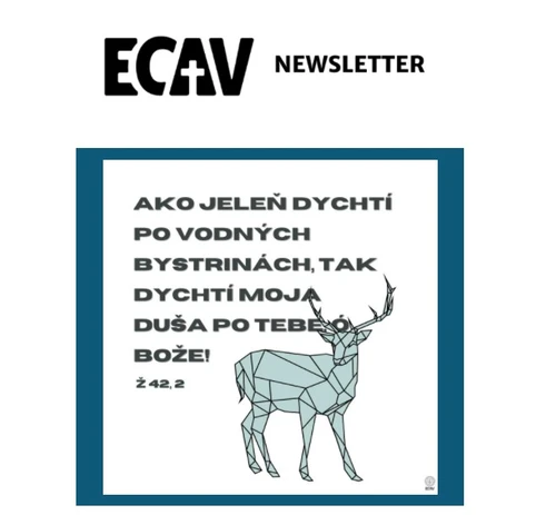 Súhrn toho najdôležitejšieho- pre vás